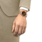Tissot Ballade Watch - T1564102229101